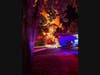 The home was completely gutted in the blaze.