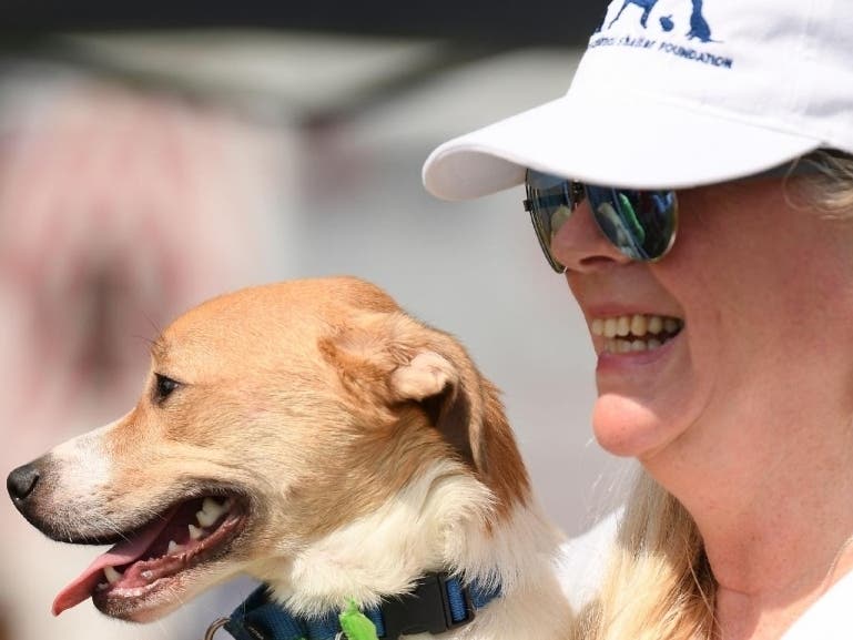 The Hampton Classic runs through Sept. 4 in Bridgehampton.