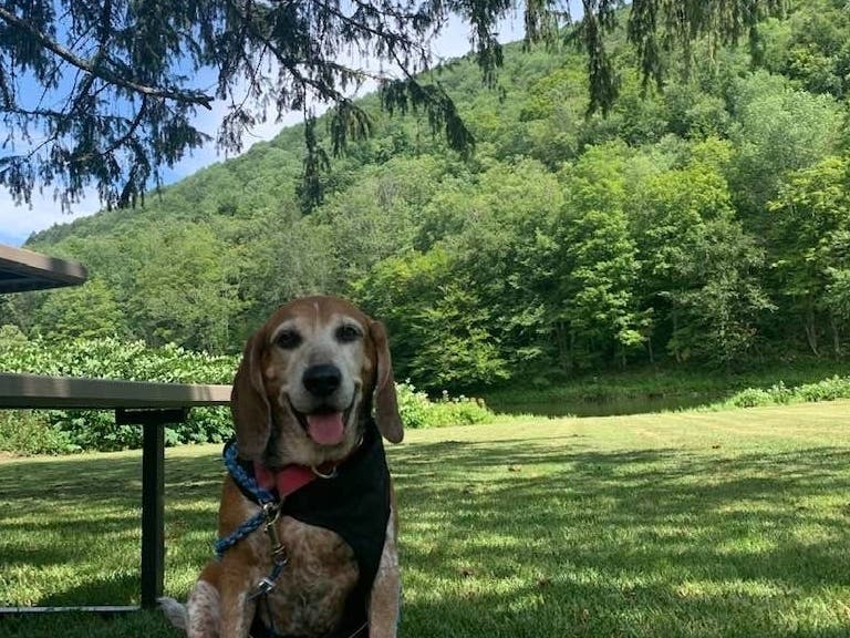 Daisy Finn, smiling for her close-up.