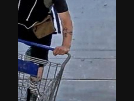 Police are asking for the public's help to find him.