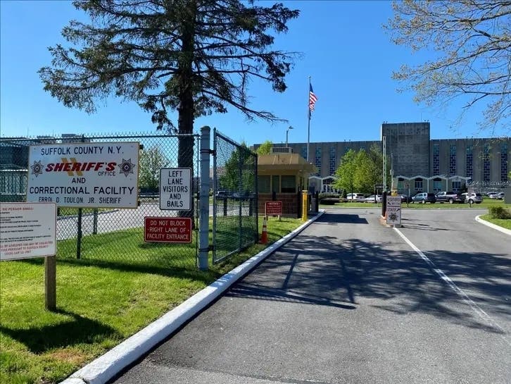 A female duck hatched 7 ducklings on jail property, officials said.