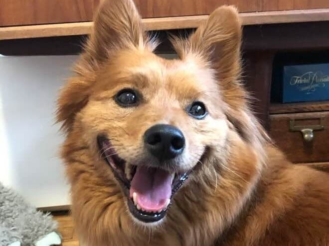 Have you seen Santi?