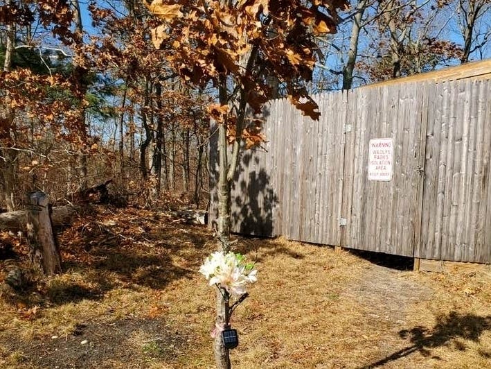 Staff have erected a memorial for the deer killed.