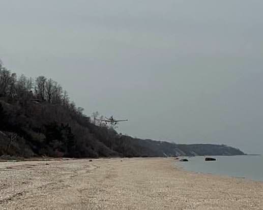 A woman was walking her dog in Shoreham when she saw a plane heading toward the beach, where the pilot made an emergency landing.