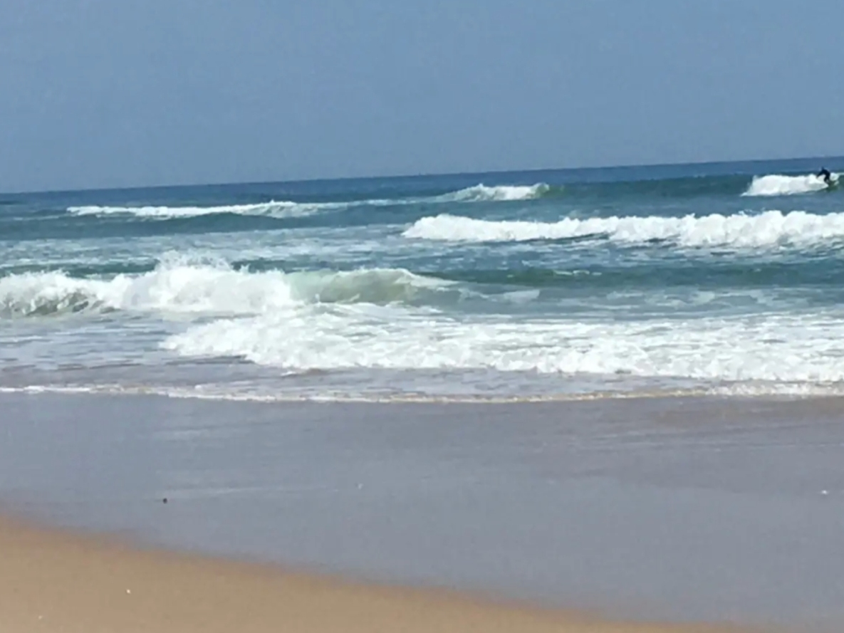 One beach in the Hamptons consistently makes Dr. Beach's Top 10, year after year.