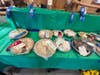 The best of Riverhead was represented at the fair.