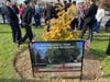 Veterans were honored in Southold Saturday.