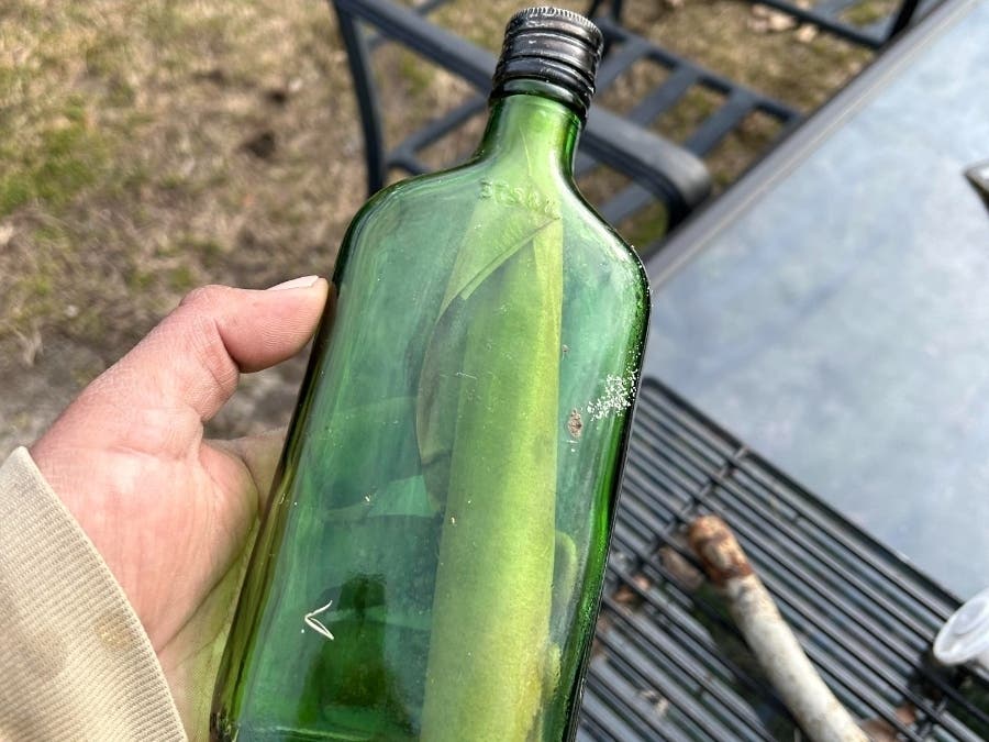 "This whole thing is incredible. It found its way home."