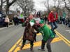 The 18th Annual Cutchogue St. Patrick's Day Parade delighted a crowd on Saturday.