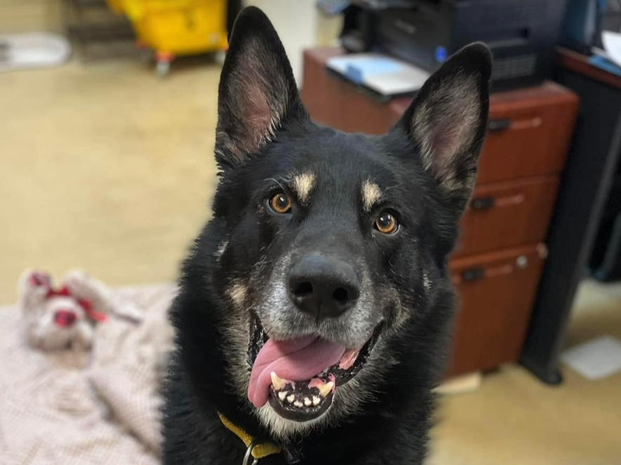 Reed has found his forever family.