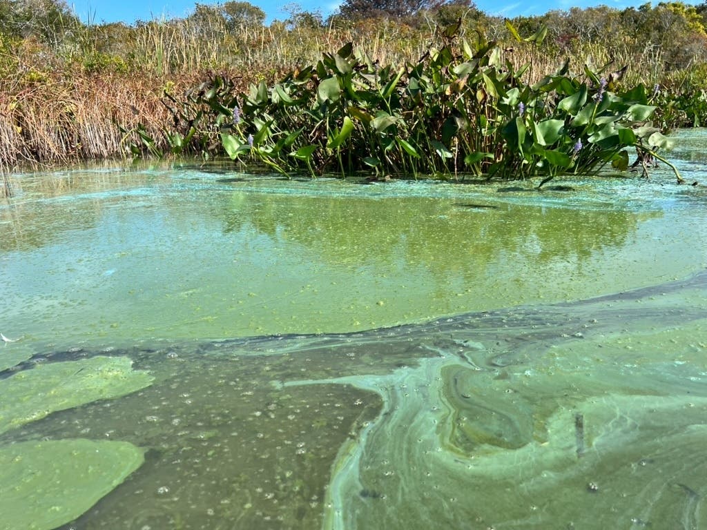 See what areas across Long Island are impacted by water impairment.