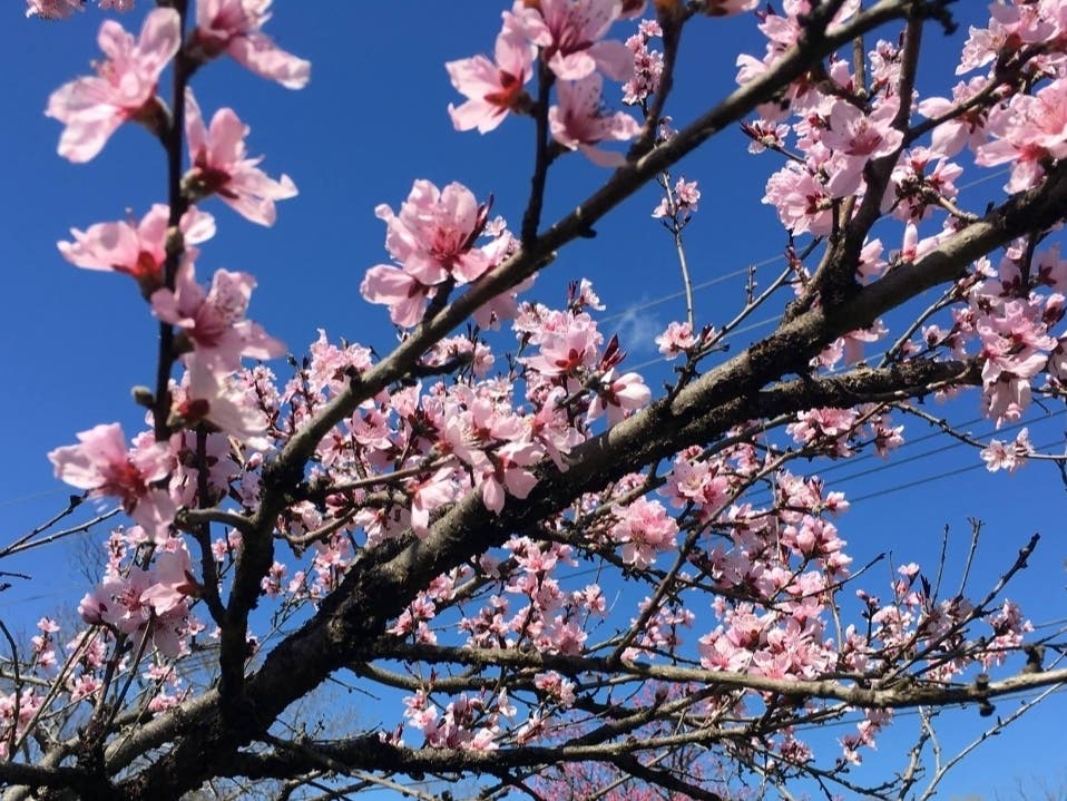 Tuesday brought sunny, warm temperatures to Long Island.