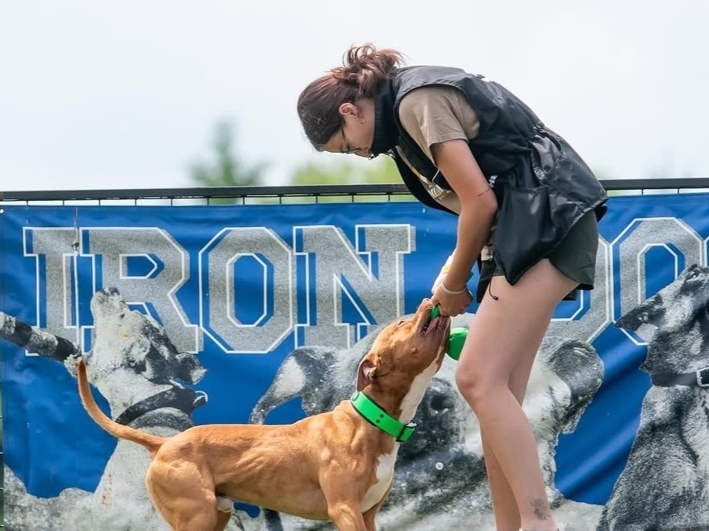 High-Flying Pup Who Drew Cheers At North Fork Dog Diving Event Back This Year — As National Contender