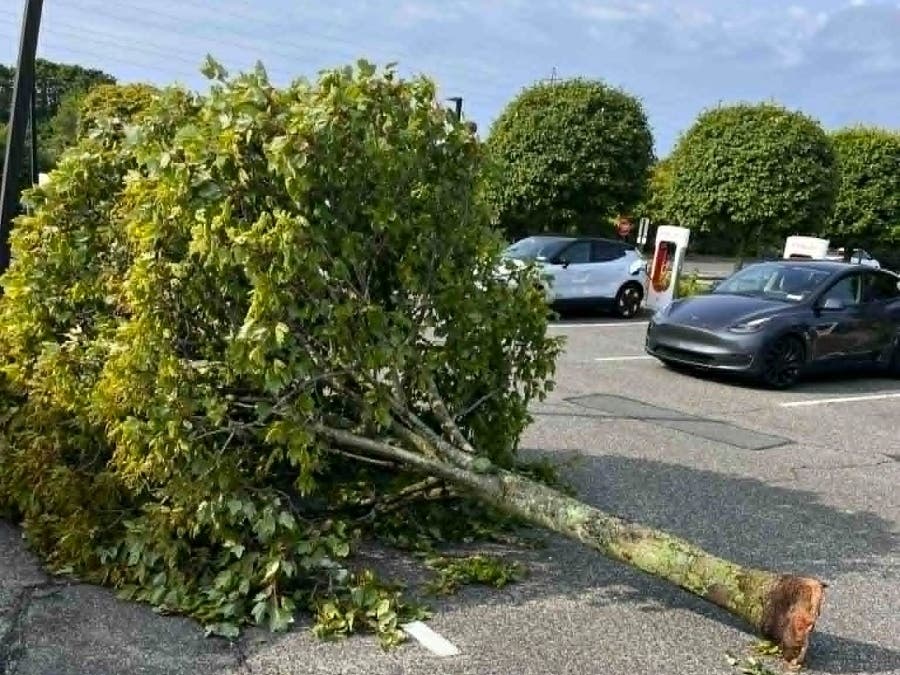 The July 4 storm toppled trees, downed wires and left thousands without power in extreme heat.