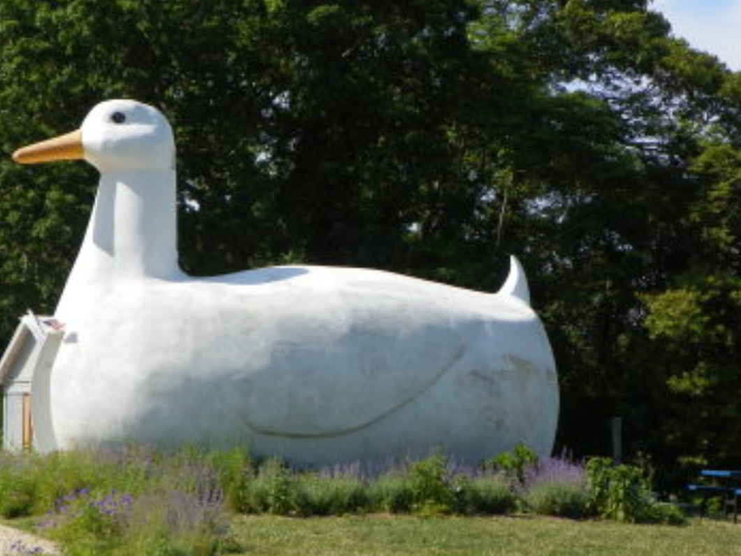 An iconic Long Island symbol will shine purple soon to raise overdose awareness and spotlight recovery, officials said.
