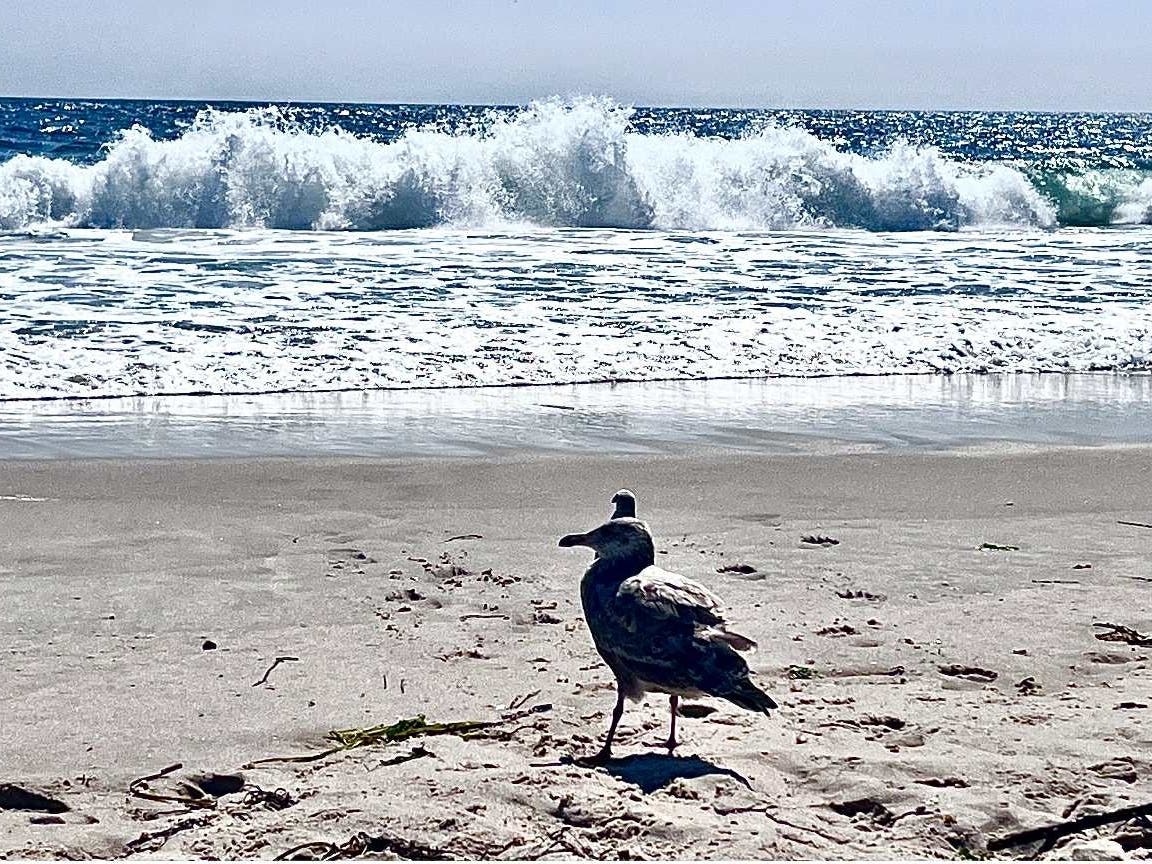 "Life-threatening rip currents are likely for all people entering the surf zone," the NWS said.