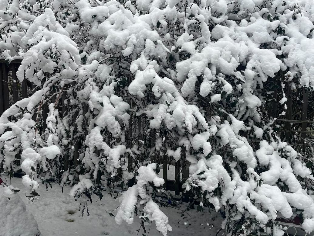 Overall, the El Niño climate pattern is expected to keep temperatures on the mild side, according to The Old Farmer’s Almanac winter forecast.
