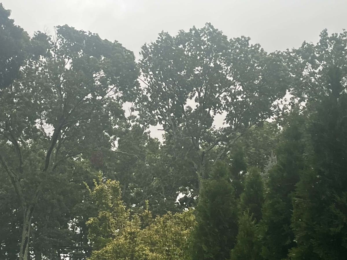 Here's what's ahead for Long Island's weekend weather.