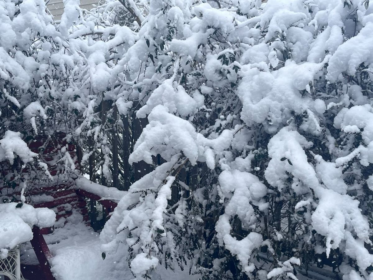 Warmer-than-average temperatures are expected across the Northeast and Mid-Atlantic, though winter storms remain likely, NOAA said.