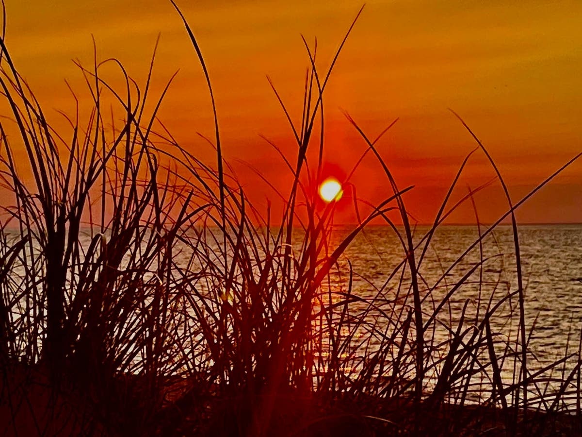"On a densely populated island of 3 million people, opportunities to protect 750 contiguous acres is truly a cause to celebrate."