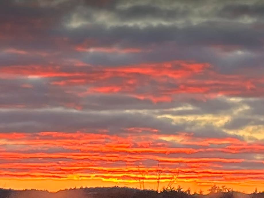 See if the week ahead will bring sunny , or soggy, skies.