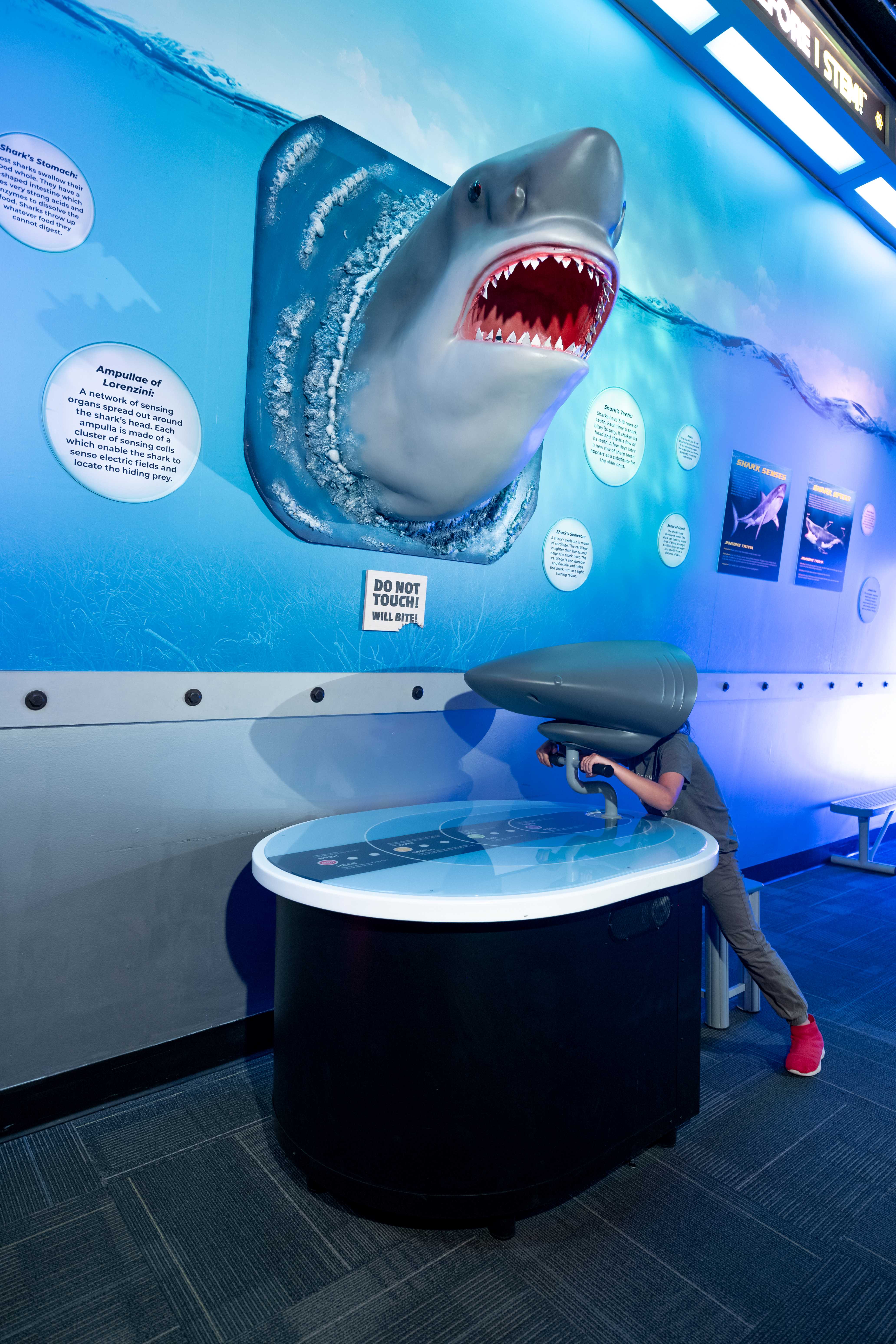 Wonderworks Patch Diving Into Ocean Education! WonderWorks MB Invites Guests to Celebrate ...