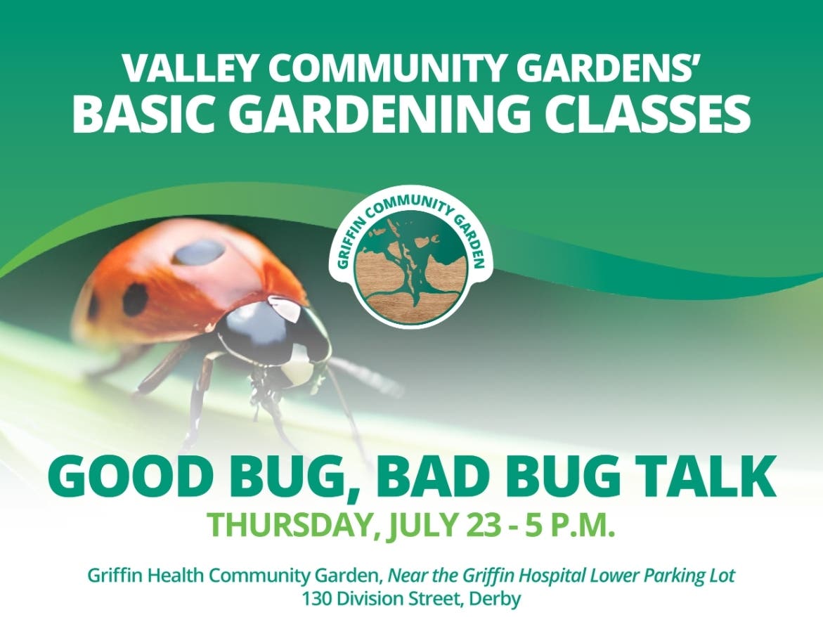 There will be a free presentation on garden insects at the Griffin Community Garden at Griffin Hospital on July 23.