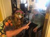 Hippie Sam Gaugler, an employee at Chestnut Knoll, stops to share some peace and love with resident Jean Schmocker during the senior community’s annual Halloween parade on Friday, Oct. 30.