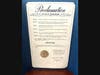 St. Petersburg Mayoral Proclamation