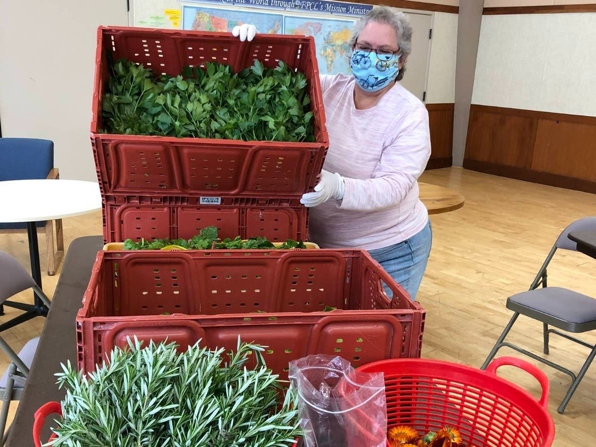 The Sunflower Hill Garden is an instructional, outdoor space for educational, therapeutic, and life skills training for adults with developmental disabilities.