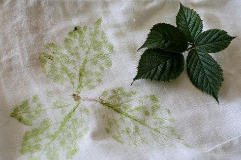 Craft Program: Hapa-Zome: Plant Printing on Fabric