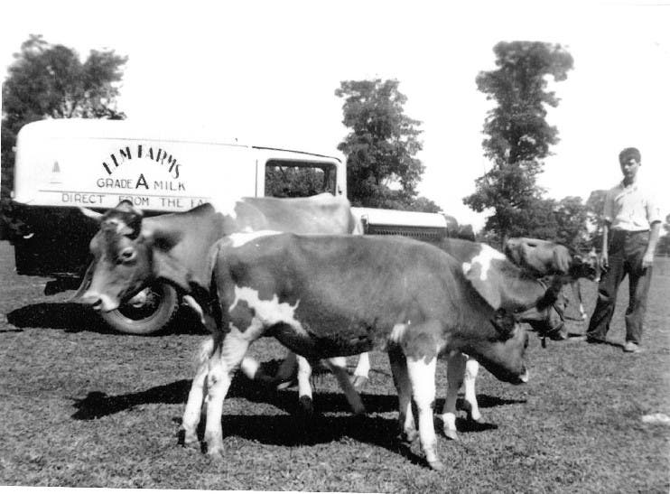 Cream of the Cove: Dairy Farming in Glen Cove