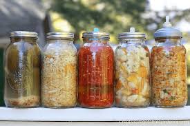 Seed Library Program: Making Fermented Food
