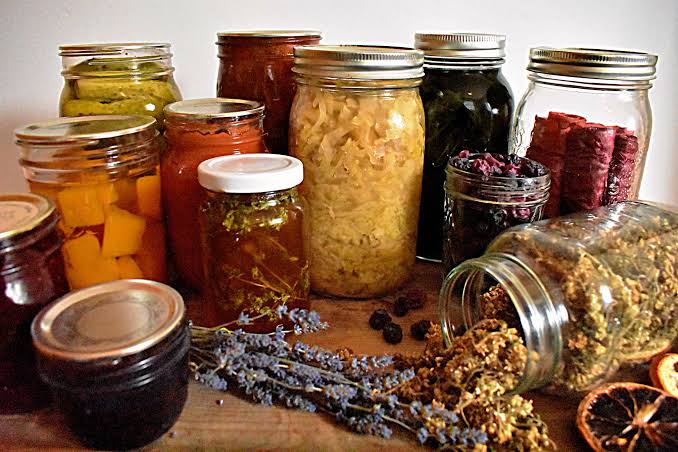 Seed Library Program: Preserving Your Organic Harvest