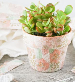 Craft Program: Distressed Decoupage Planter