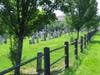 No TS picture for John Gilbert; born 21 Oct 1752 Stratford; died 22 Nov 1829 in Galway, Saratoga Co, NY; Burial Ashley Cemetery, Galway, Saratoga Co, NY; Memorial ID 130119507; Ancestor A045130
