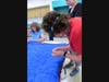 Jeaneen Buchanan sewing the binding