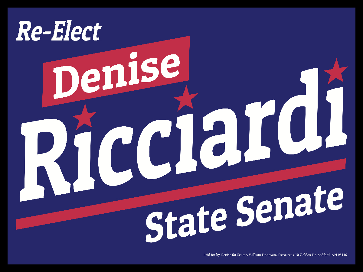 Denise Ricciardi for Senate District 9 Sign