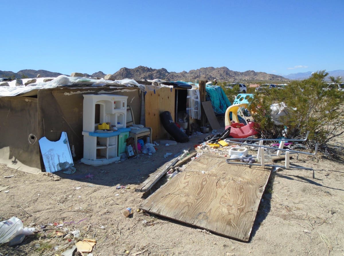 https://patch.com/img/cdn20/users/1396761/20180301/111717/styles/raw/public/processed_images/joshua_tree_2-1519963230-6709.jpg