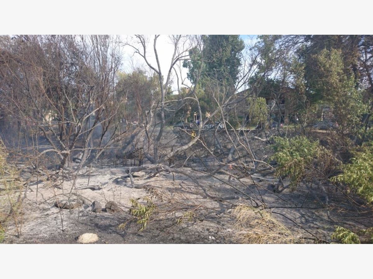 Temecula Brush Fire Prompts Brief Evacuations | Temecula, CA Patch