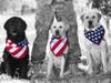 Honoring our local heros on Nov. 7th