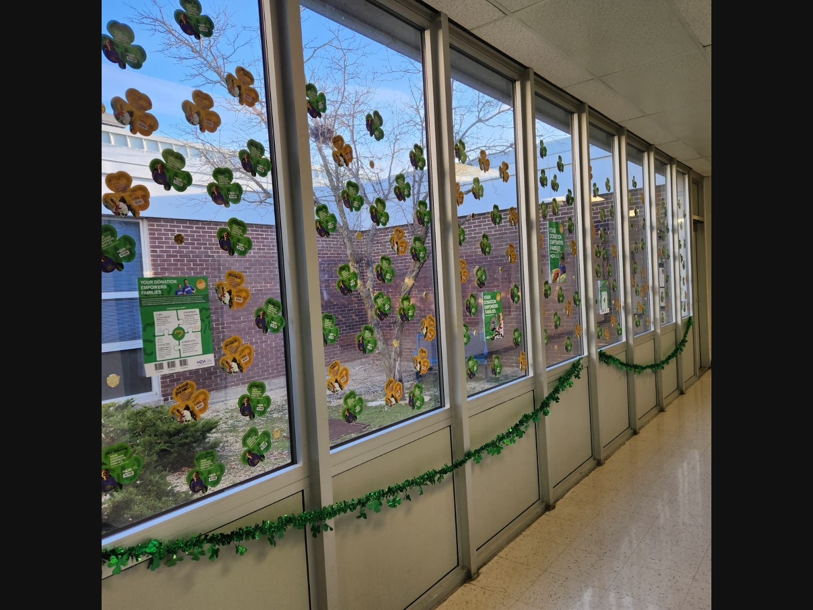 Shamrocks line the window of the courtyard at Hillcrest High School in March 2023.