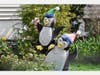 Penguins are among the many animals that were placed in yards in the Admiral Heights community for the scavenger hunts.