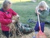 Cathy, left, and Ros Yeager gather hay to make a scarecrow.