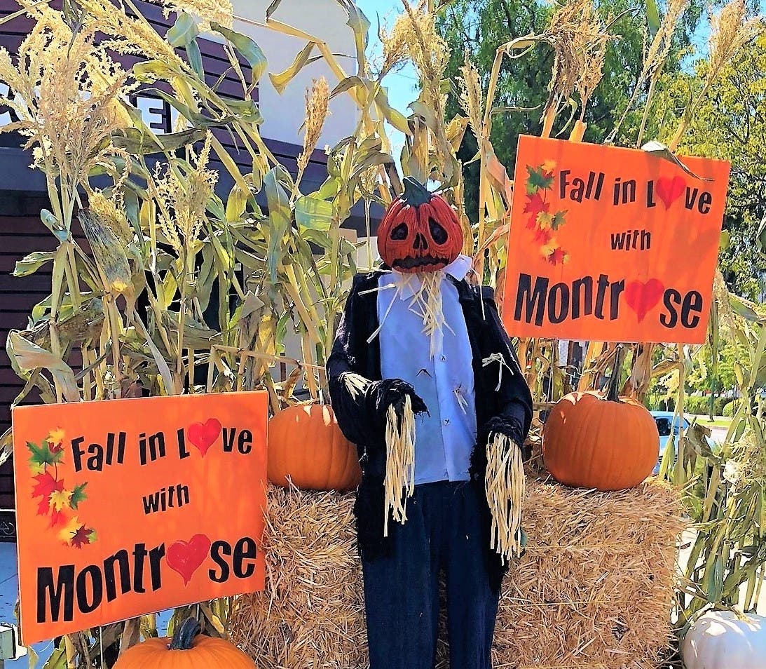 Fall vignettes in Montrose