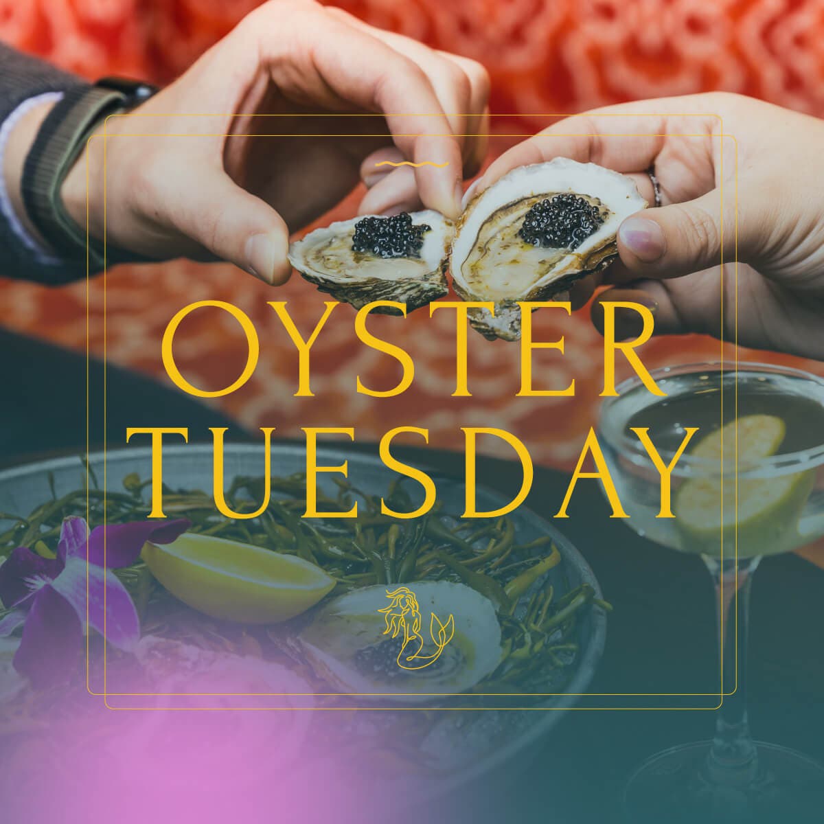 Feb 28 | Join Rooftop L.O.A. for Oyster Tuesday! | Atlanta, GA Patch