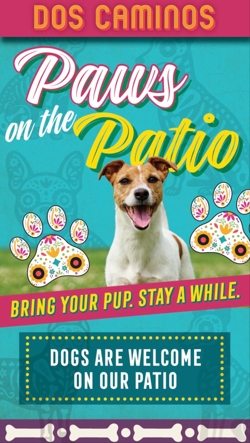 Paws on the Patio – National Dog Day Celebration at Dos Caminos Atlanta
