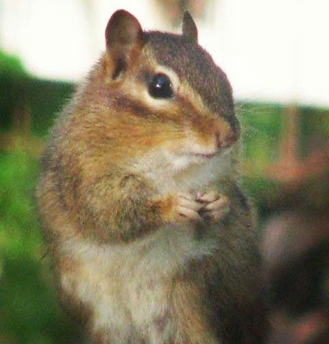 My little buddy