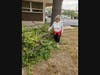 Hard to image so much brush grows in one year.