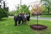 Tree Committee & Council celebrate Arbor Day 